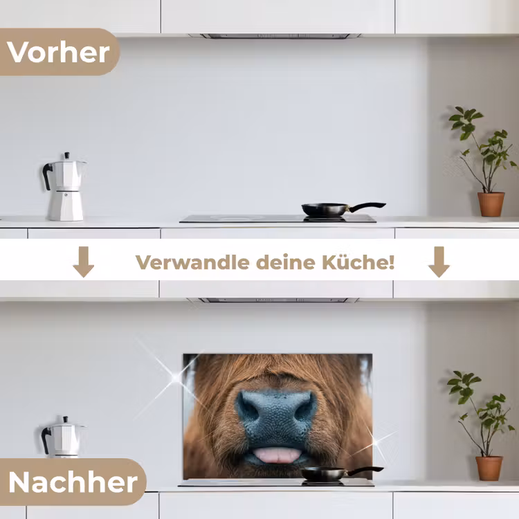 Schotse hooglander - Neus - Bruin keuken achterwand spatscherm klein -voor_na_DE