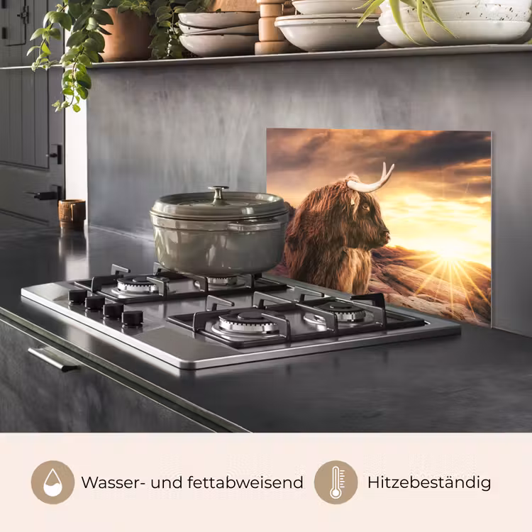 Schotse hooglander - Zon - Horizon - Koe - Dieren keuken achterwand spatscherm klein -usp_DE