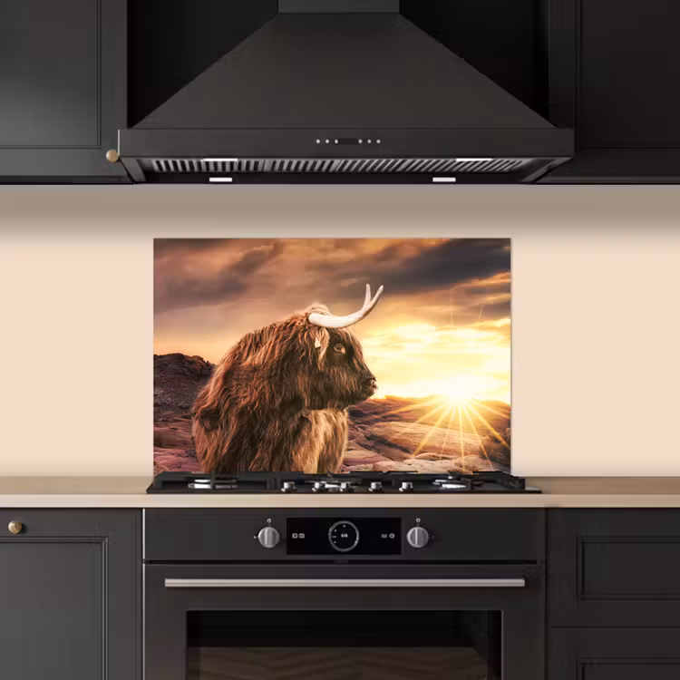Schotse hooglander - Zon - Horizon - Koe - Dieren keuken achterwand spatscherm klein -sfeer1