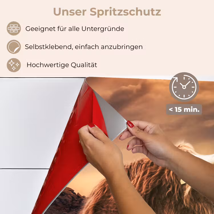 Schotse hooglander - Zon - Horizon - Koe - Dieren keuken achterwand spatscherm klein -spatscherm_DE