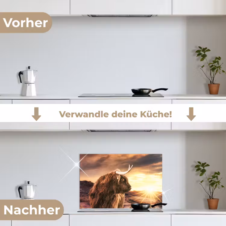 Schotse hooglander - Zon - Horizon - Koe - Dieren keuken achterwand spatscherm klein -voor_na_DE