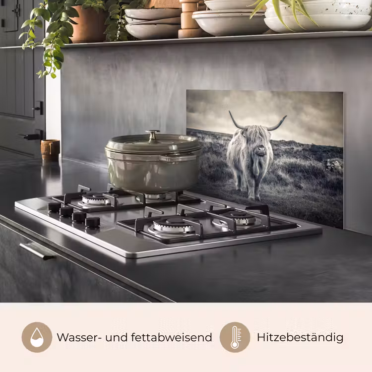 Schotse hooglander - Dieren - Wolken - Koe - Natuur keuken achterwand spatscherm klein -usp_DE