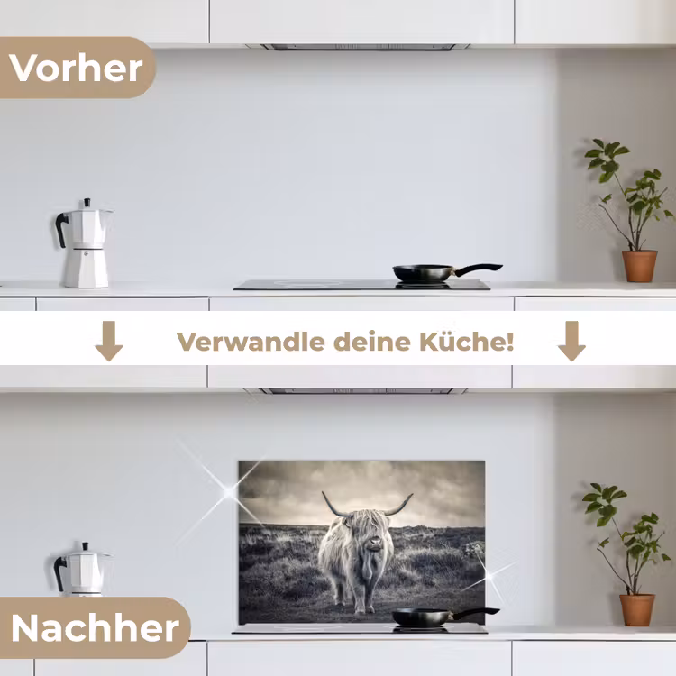 Schotse hooglander - Dieren - Wolken - Koe - Natuur keuken achterwand spatscherm klein -voor_na_DE