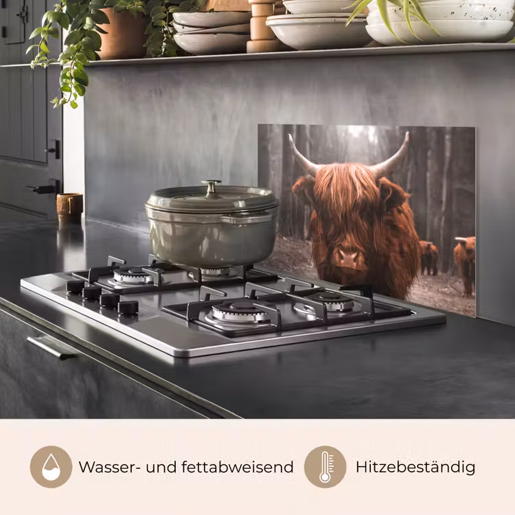 Schotse hooglander - Bos - Koe - Dieren - Natuur keuken achterwand spatscherm klein -usp_DE