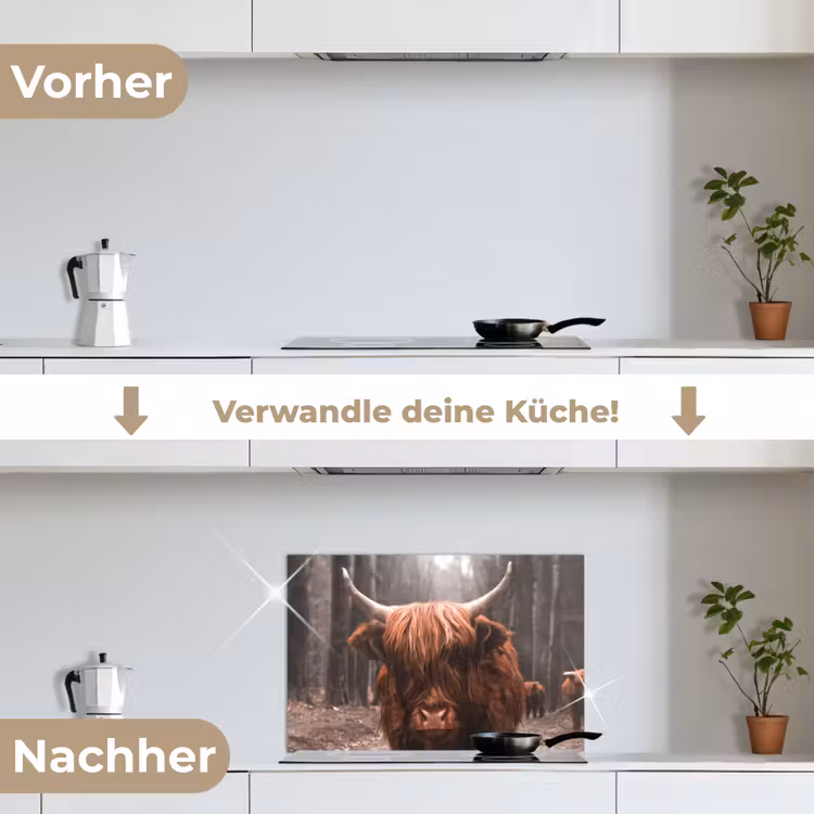Schotse hooglander - Bos - Koe - Dieren - Natuur keuken achterwand spatscherm klein -voor_na_DE