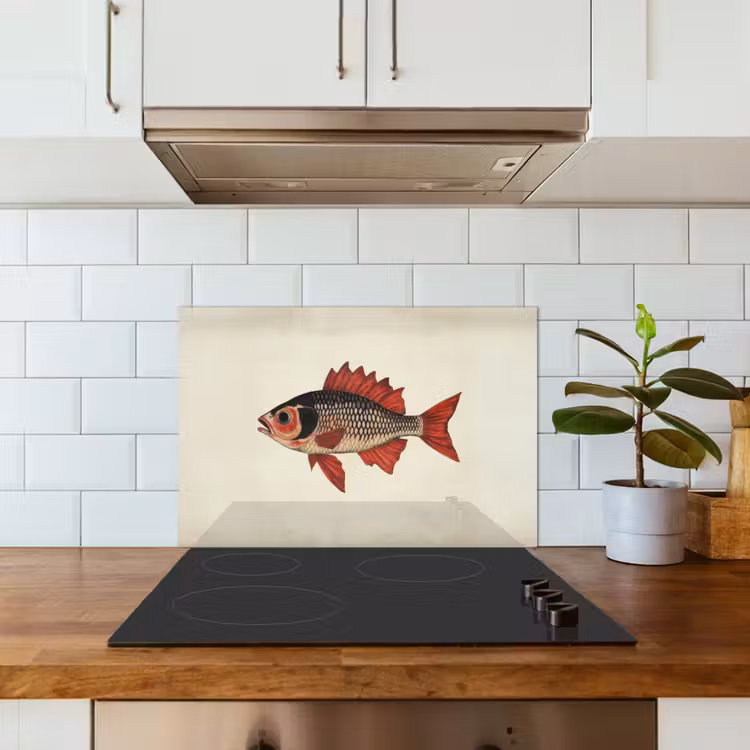 Schubben - Rood - Vis - Vinnen keuken achterwand spatscherm klein -sfeer2