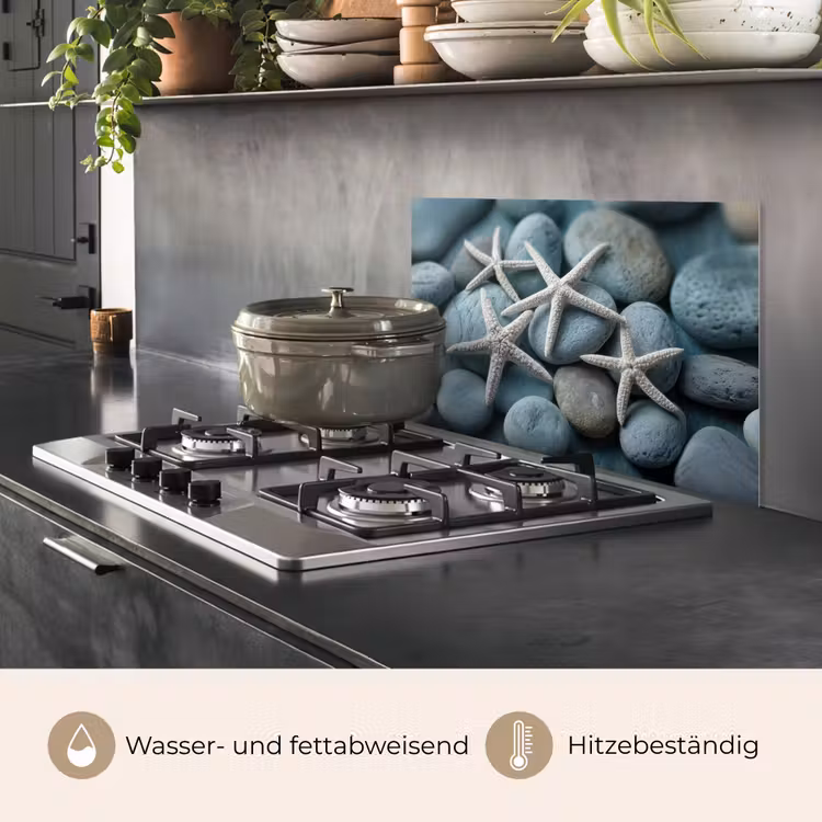 Zeesterren - Stenen - Wit keuken achterwand spatscherm klein -usp_DE