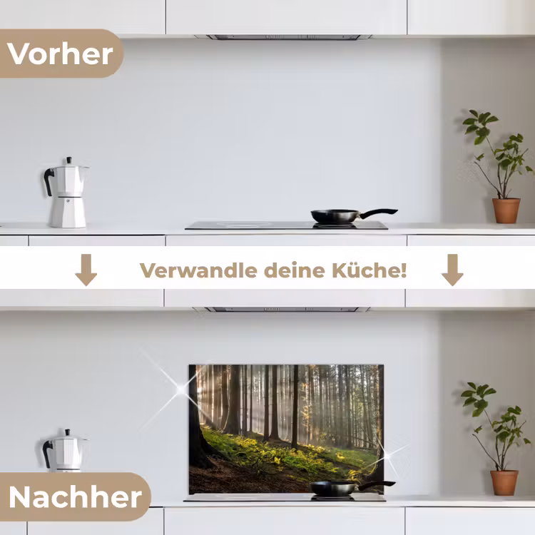 Zon - Takken - Bomen - Bos - Natuur keuken achterwand spatscherm klein -voor_na_DE