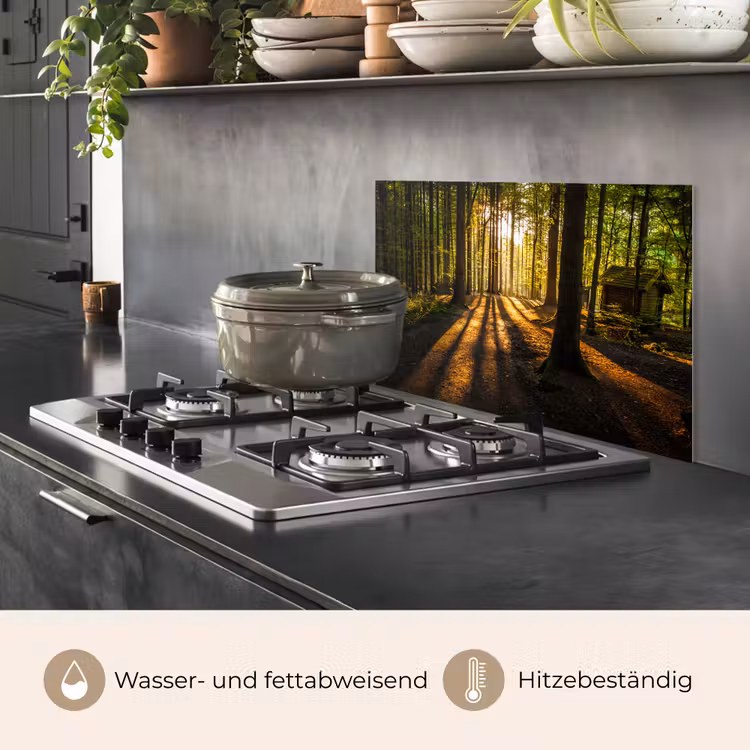 Zon - Bomen - Bos - Landschap - Natuur keuken achterwand spatscherm klein -usp_DE