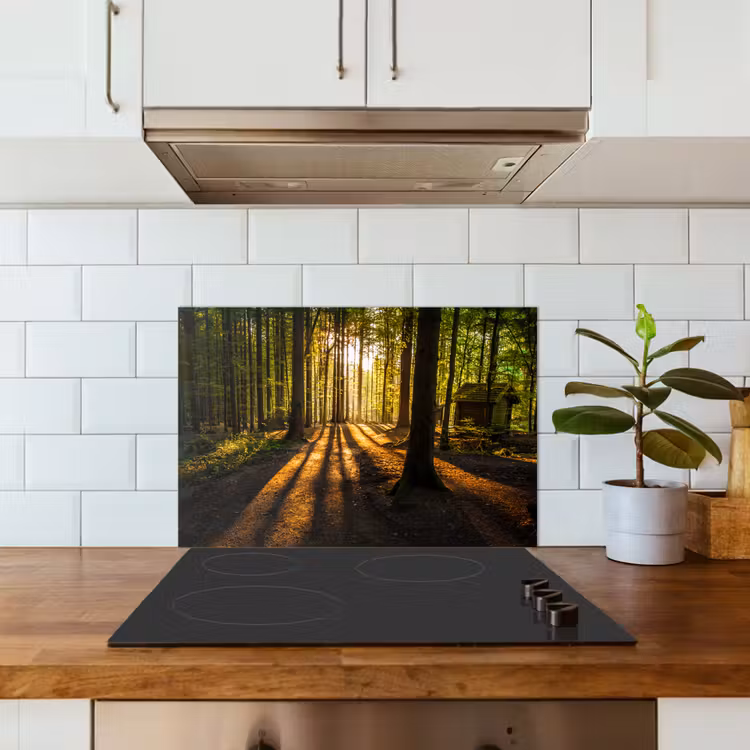 Zon - Bomen - Bos - Landschap - Natuur keuken achterwand spatscherm klein -sfeer2