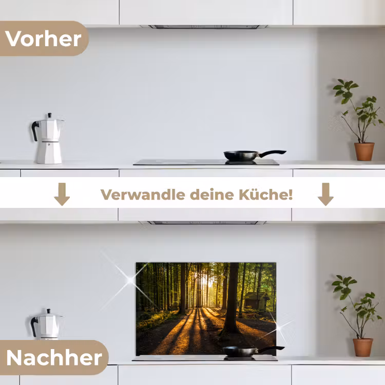 Zon - Bomen - Bos - Landschap - Natuur keuken achterwand spatscherm klein -voor_na_DE