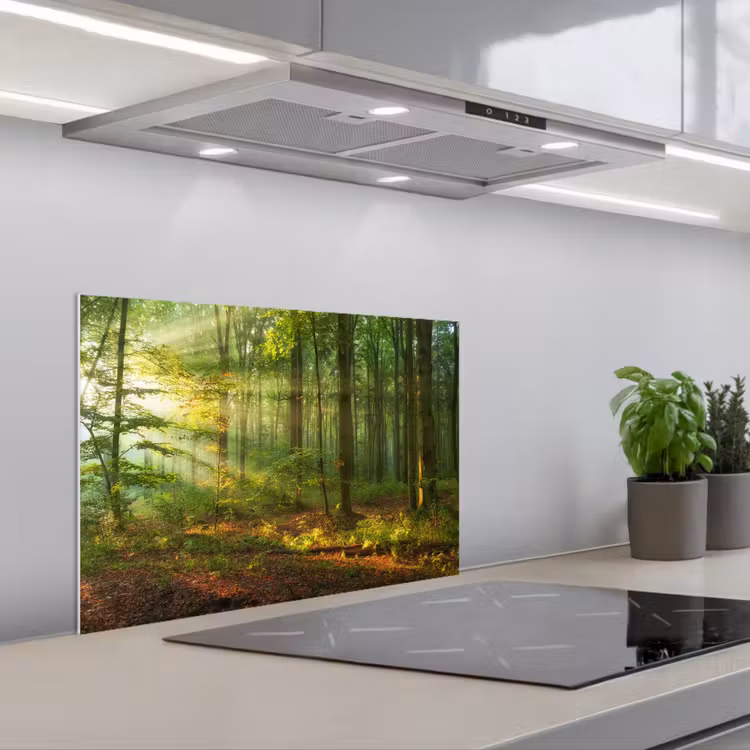 Zon - Bos - Bomen - Natuur - Herfst keuken achterwand spatscherm klein -3d_schuin