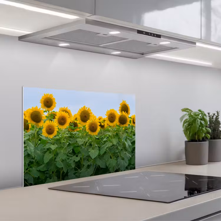 Zonnebloemen - Geel - Natuur keuken achterwand spatscherm klein -3d_schuin