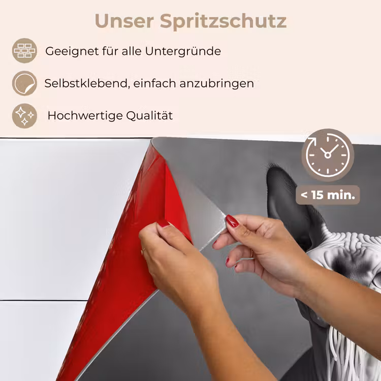 Sphynx - Kat - Dieren - Humor - Spaghetti - Zwart Wit keuken achterwand spatscherm klein -spatscherm_DE
