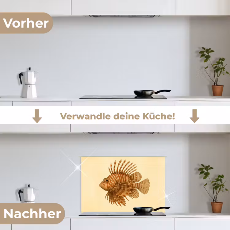 Strepen - Vis - Rond - Stekels keuken achterwand spatscherm klein -voor_na_DE