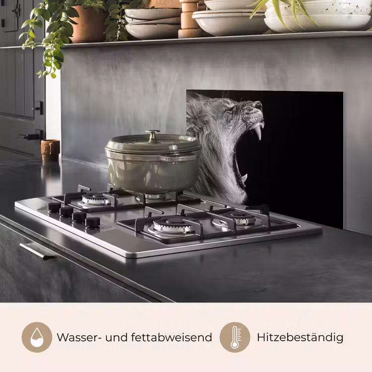 Dieren - Leeuw - Zwart - Wit - Portret keuken achterwand spatscherm klein -usp_DE