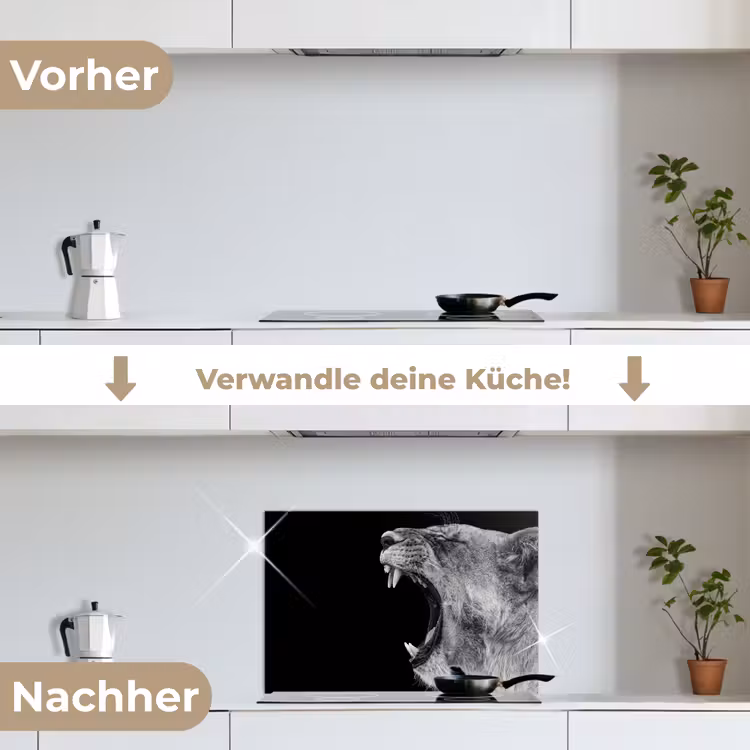 Dieren - Leeuw - Zwart - Wit - Portret keuken achterwand spatscherm klein -voor_na_DE