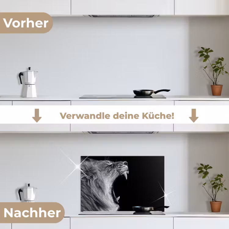 Dieren - Leeuw - Zwart - Wit - Portret keuken achterwand spatscherm klein -voor_na_DE