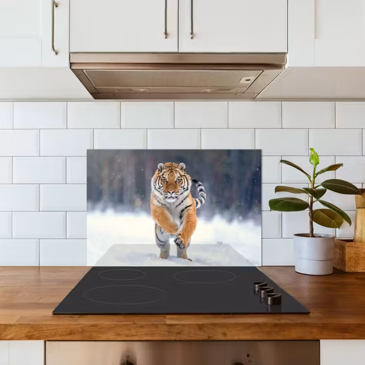 Tijger - Landschap - Sneeuw - Winter - Dieren keuken achterwand spatscherm klein -sfeer2