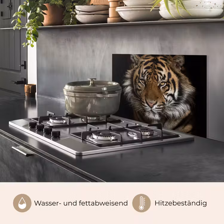 Tijger - Wilde dieren - Portret keuken achterwand spatscherm klein -usp_DE