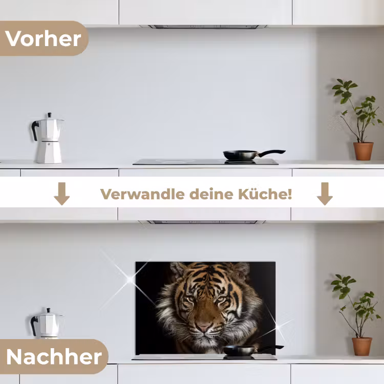 Tijger - Wilde dieren - Portret keuken achterwand spatscherm klein -voor_na_DE