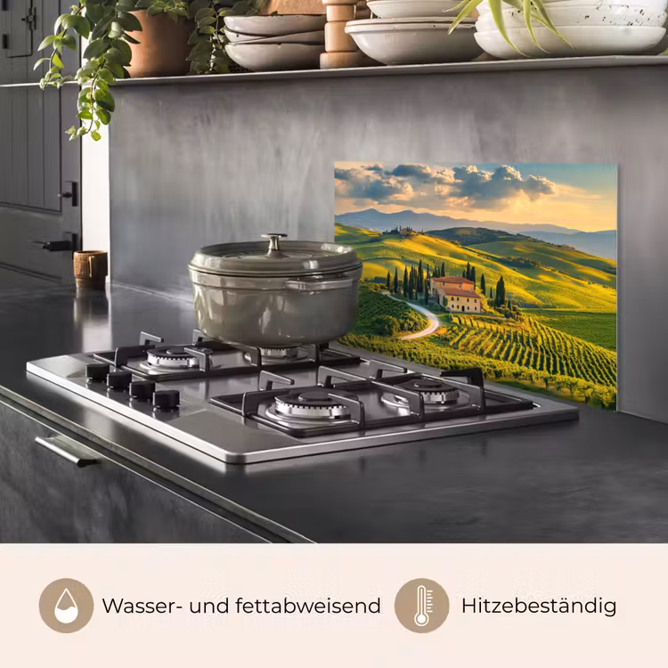 Toscane - Landschap - Wijngaarden keuken achterwand spatscherm klein -usp_DE