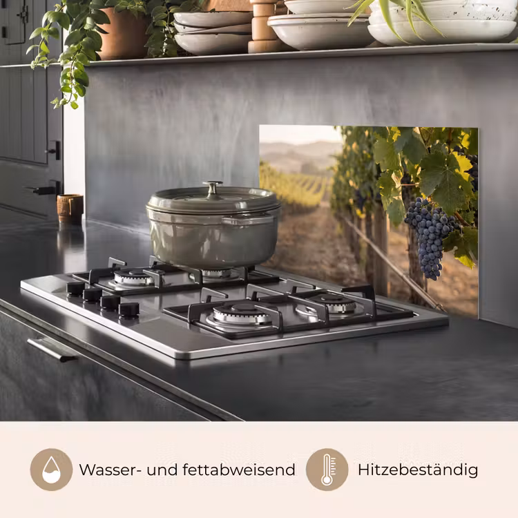 Druiven - Wijngaard - Zonlicht keuken achterwand spatscherm klein -usp_DE