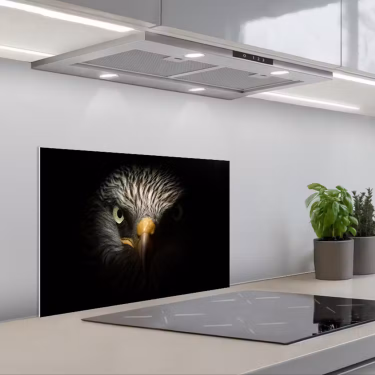 Vogel - Adelaar - Roofvogels - Oog - Snavel - Licht keuken achterwand spatscherm klein -3d_schuin