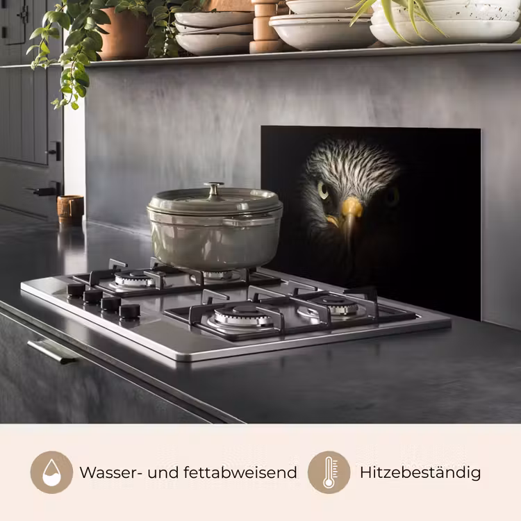 Vogel - Adelaar - Roofvogels - Oog - Snavel - Licht keuken achterwand spatscherm klein -usp_DE