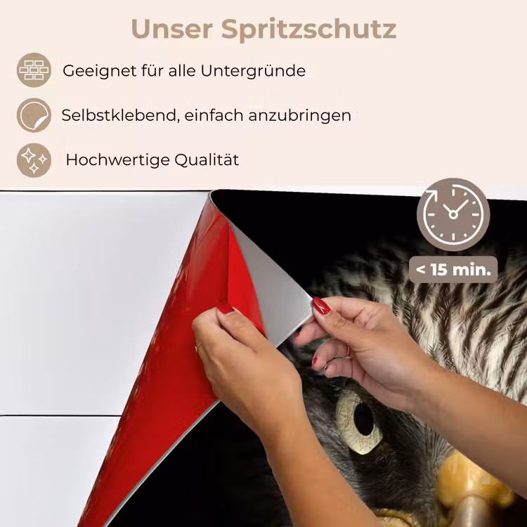 Vogel - Adelaar - Roofvogels - Oog - Snavel - Licht keuken achterwand spatscherm klein -spatscherm_DE