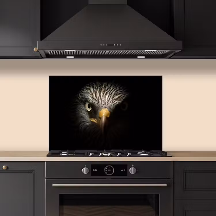 Vogel - Adelaar - Roofvogels - Oog - Snavel - Licht keuken achterwand spatscherm klein -sfeer1
