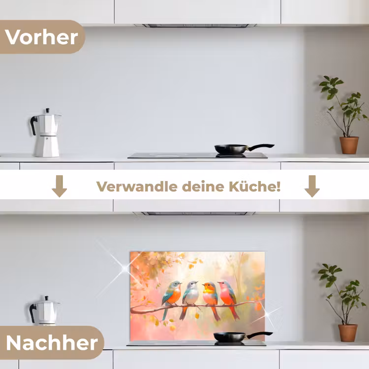 Vogels - Kleurrijk - Tak keuken achterwand spatscherm klein -voor_na_DE