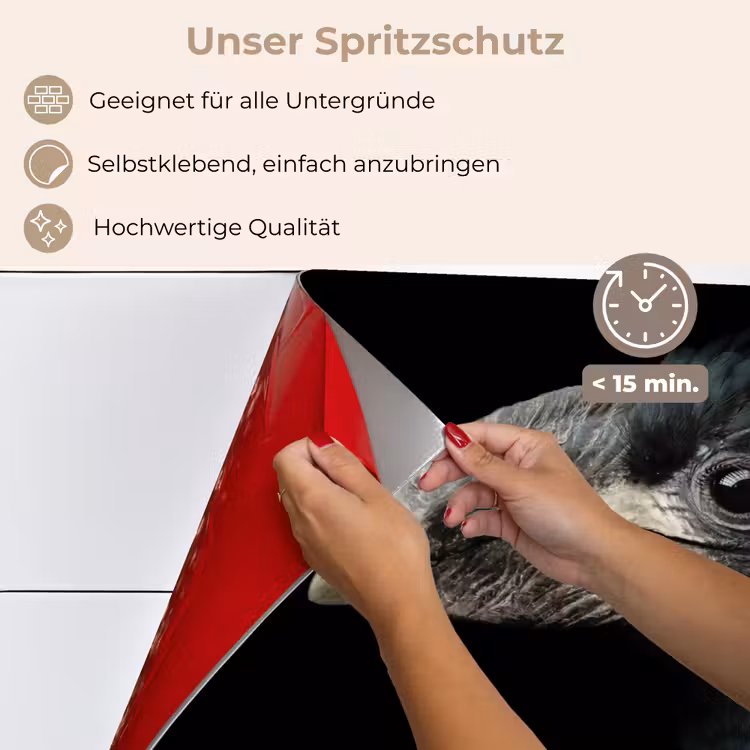 Vogel - Portret - Neushoornvogel - Zwart - Dieren keuken achterwand spatscherm klein -spatscherm_DE