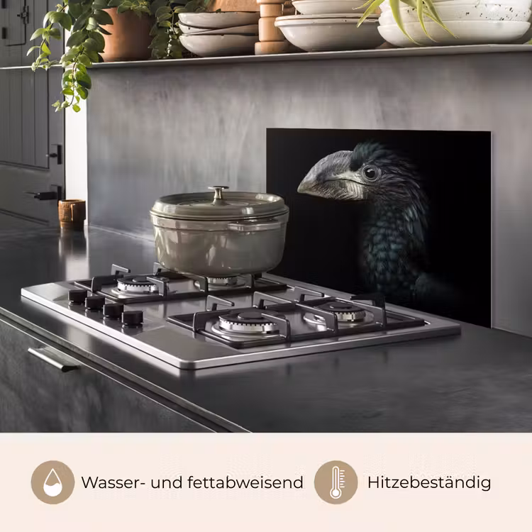 Vogel - Portret - Neushoornvogel - Zwart - Dieren keuken achterwand spatscherm klein -usp_DE