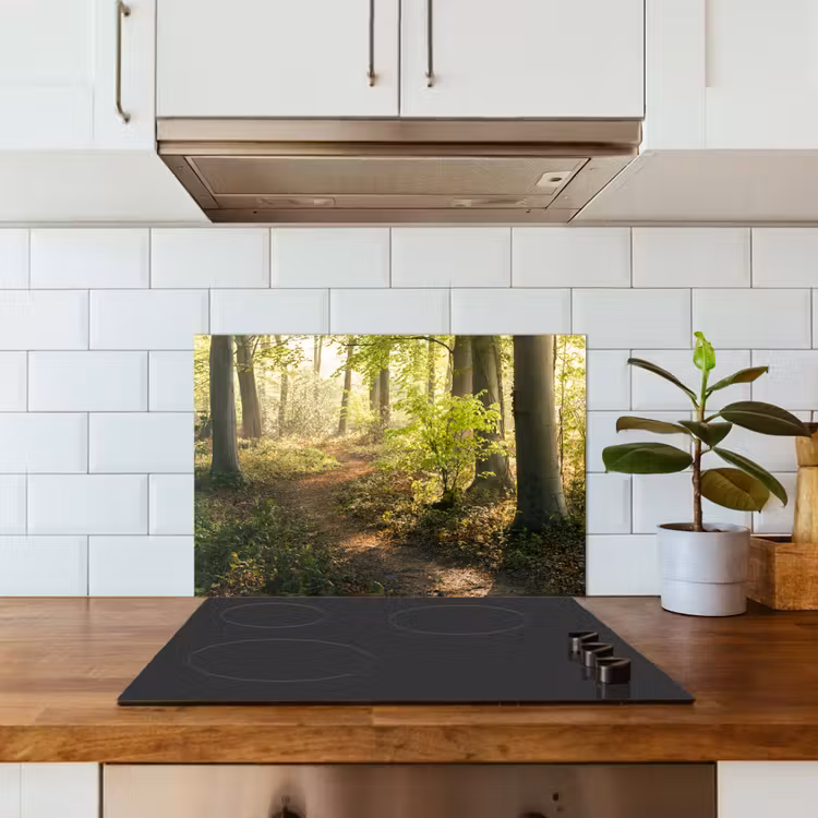 Bos - Bomen - Pad - Zon - Planten - Bladeren - Natuur keuken achterwand spatscherm klein -sfeer2