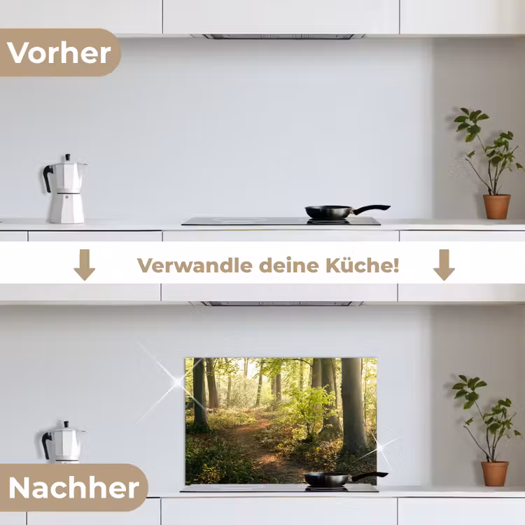 Bos - Bomen - Pad - Zon - Planten - Bladeren - Natuur keuken achterwand spatscherm klein -voor_na_DE