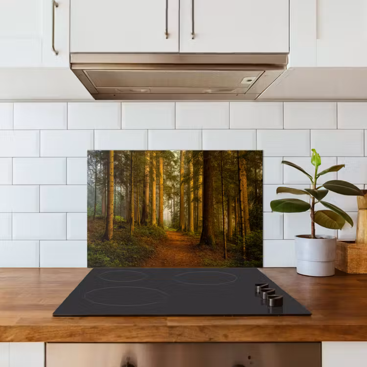 Bos - Natuur - Bomen - Landschap - Bladeren keuken achterwand spatscherm klein -sfeer2