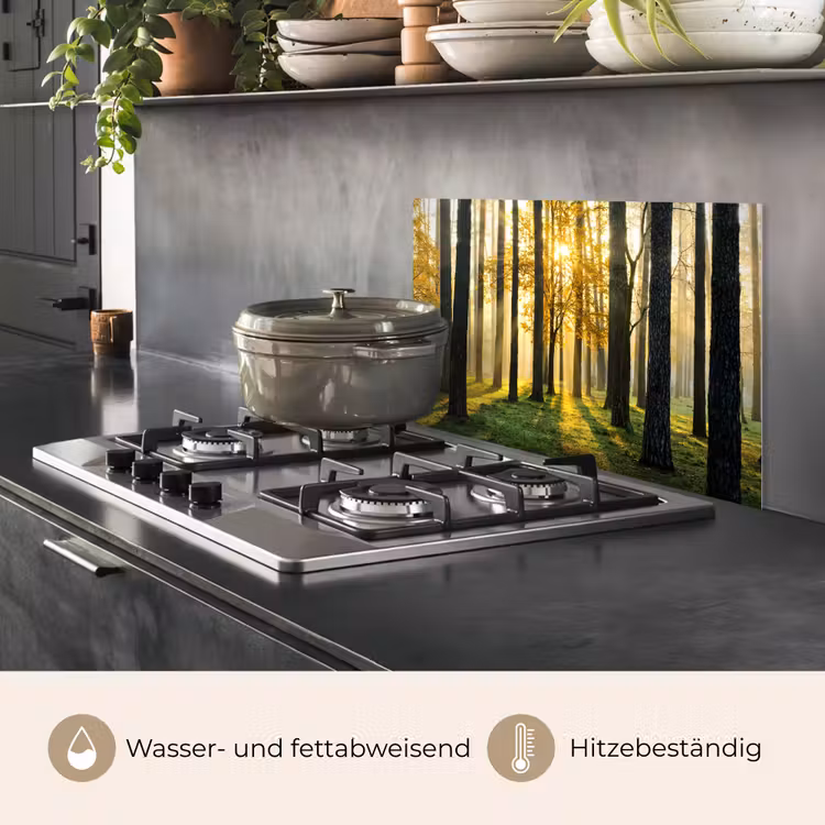 Bos - Zon - Bomen - Gras - Landschap - Natuur keuken achterwand spatscherm klein -usp_DE