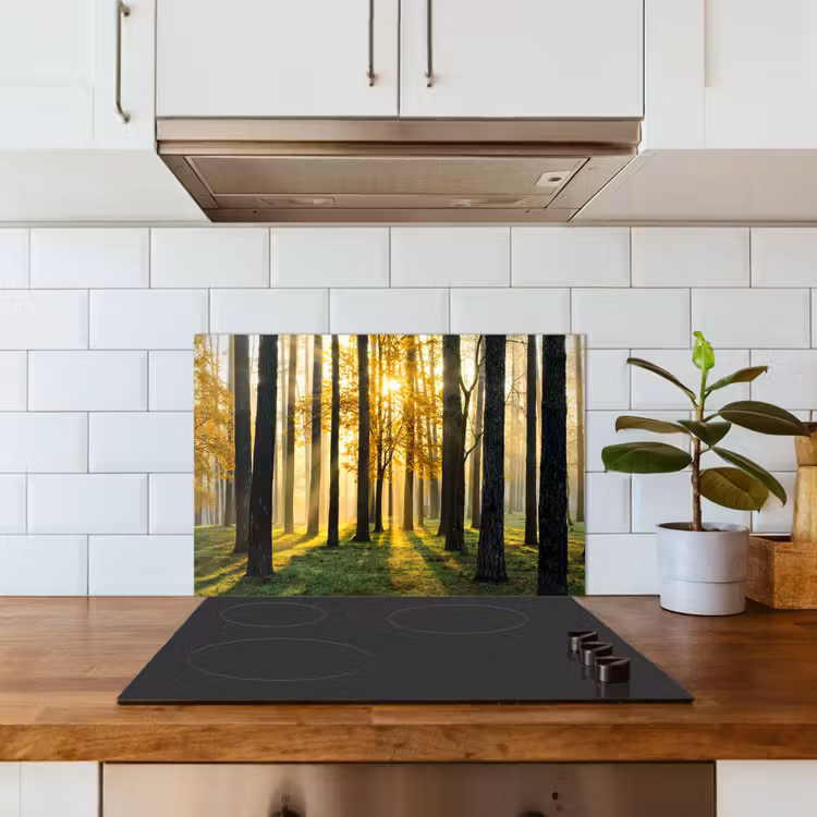 Bos - Zon - Bomen - Gras - Landschap - Natuur keuken achterwand spatscherm klein -sfeer2
