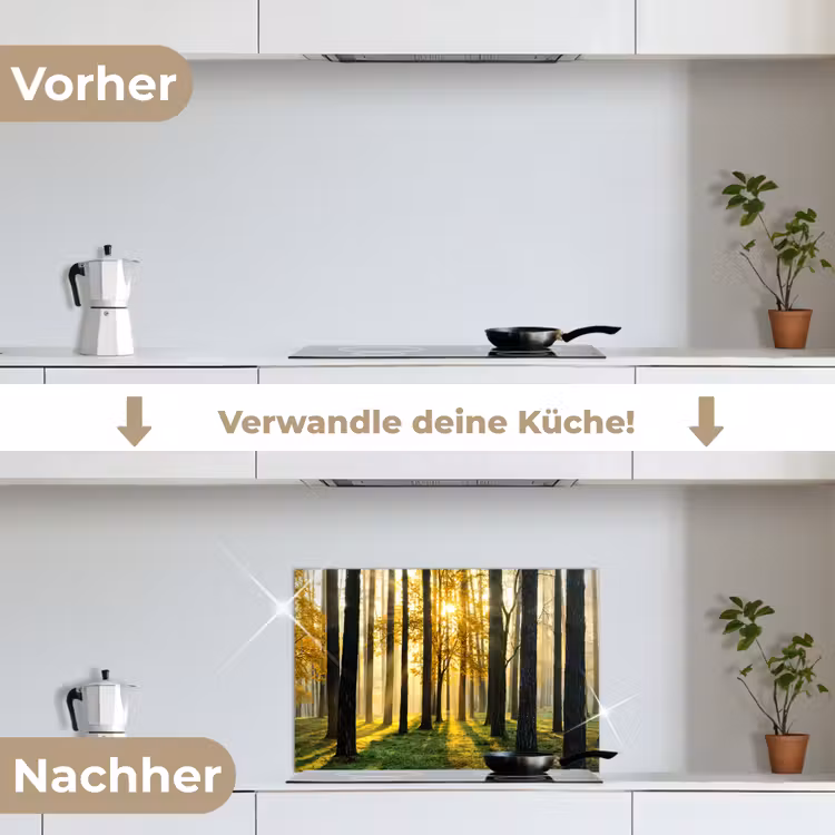 Bos - Zon - Bomen - Gras - Landschap - Natuur keuken achterwand spatscherm klein -voor_na_DE