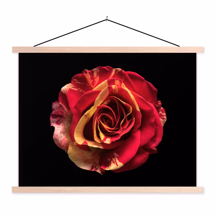 Bloem - Roos - Rood - Zwart textielposter latten blank klein -3d
