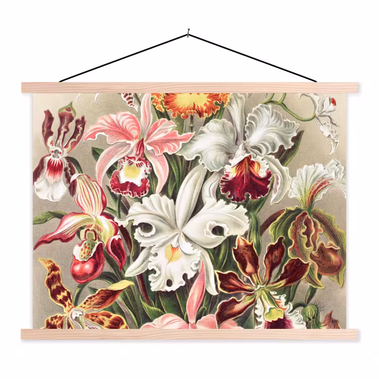 Bloemen - Ernst haeckel - Tuinposter - Vintage - Schuttingposter textielposter latten blank klein -3d
