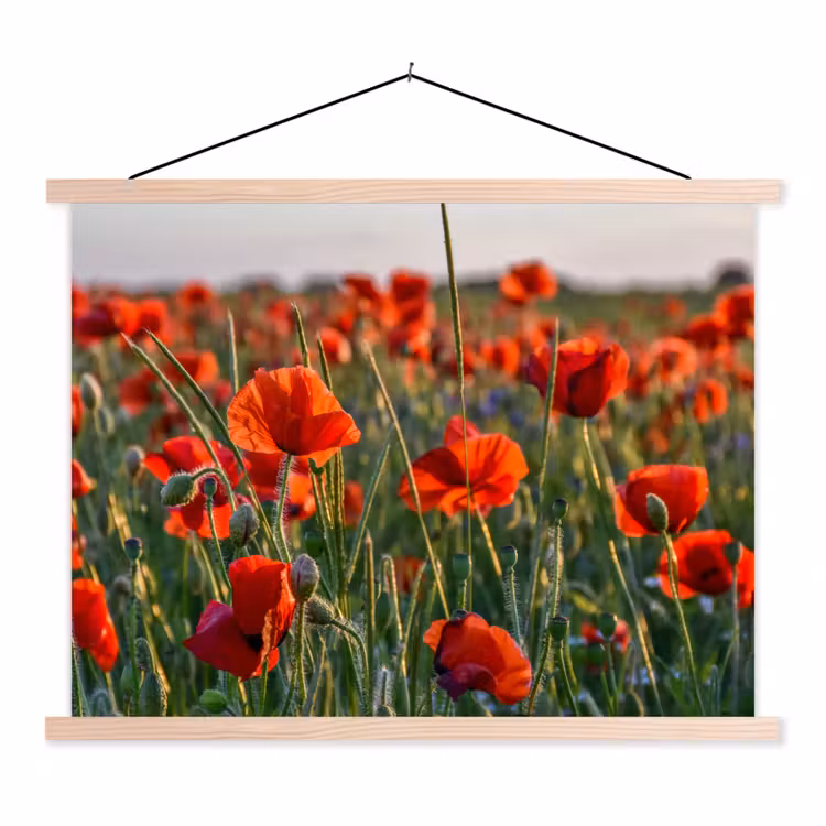 Bloemen - Klaprozen - Natuur - Rood textielposter latten blank klein -3d
