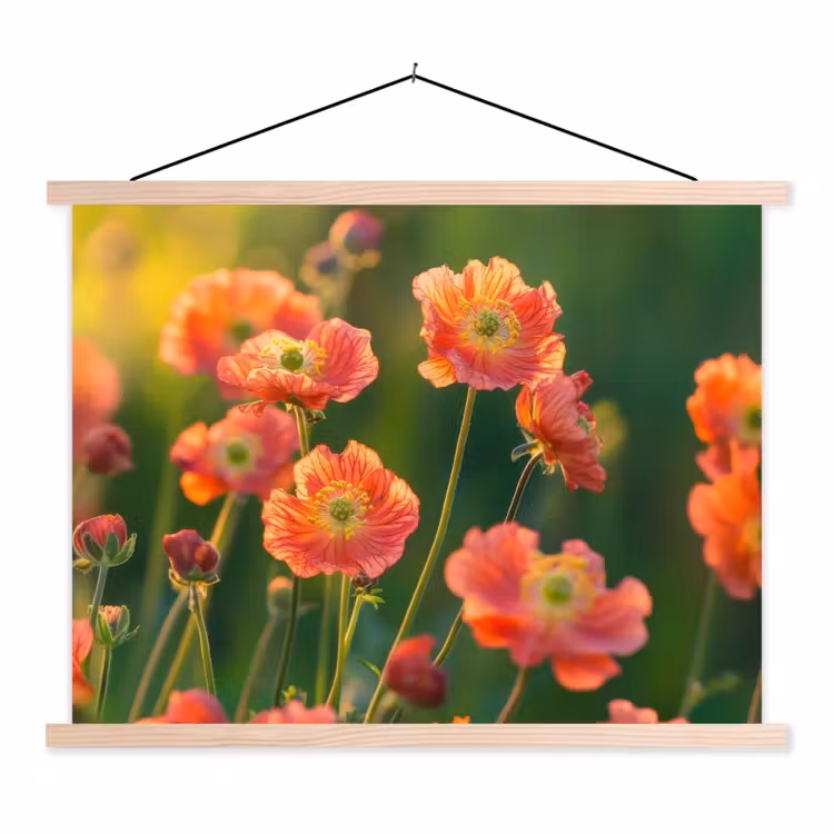 Bloemenveld - Zonnestralen - Oranje textielposter latten blank klein -3d