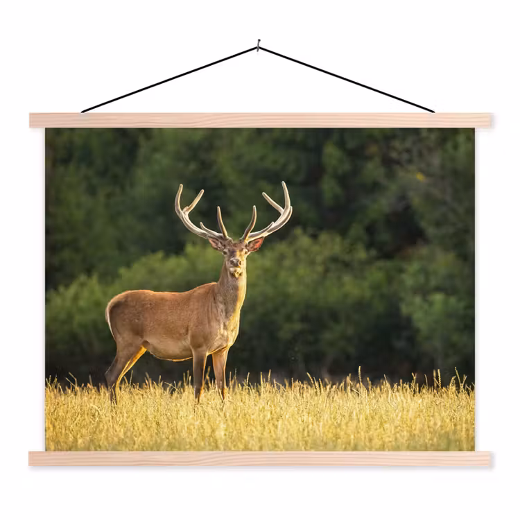 Hert - Gewei - Gras - Natuur - Dieren - Groen textielposter latten blank klein -3d