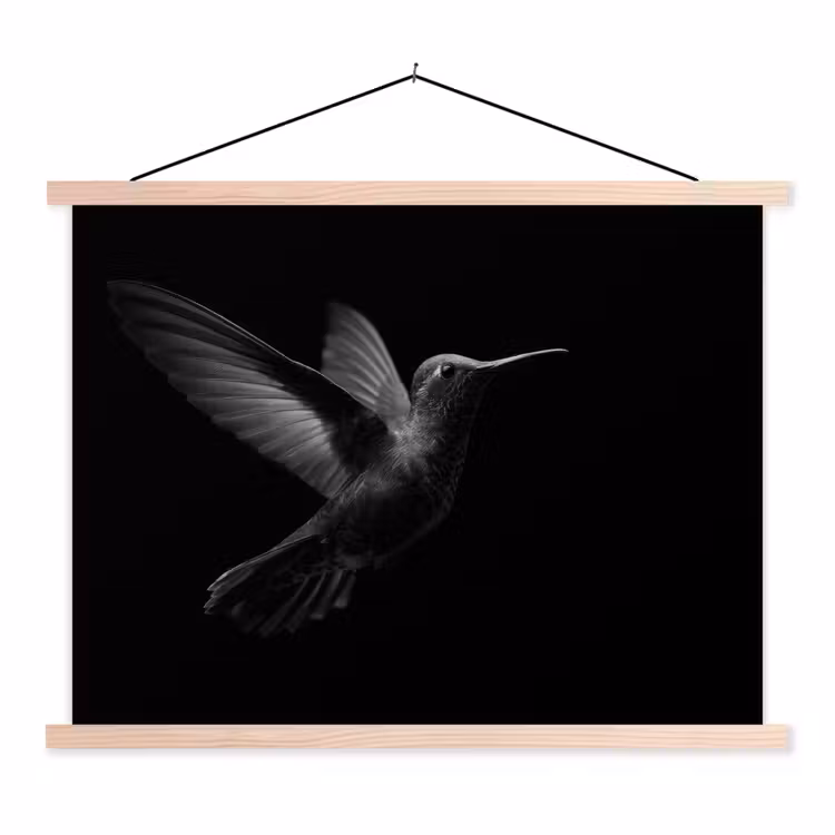 Kolibrie - Zwart - Dieren textielposter latten blank klein -3d