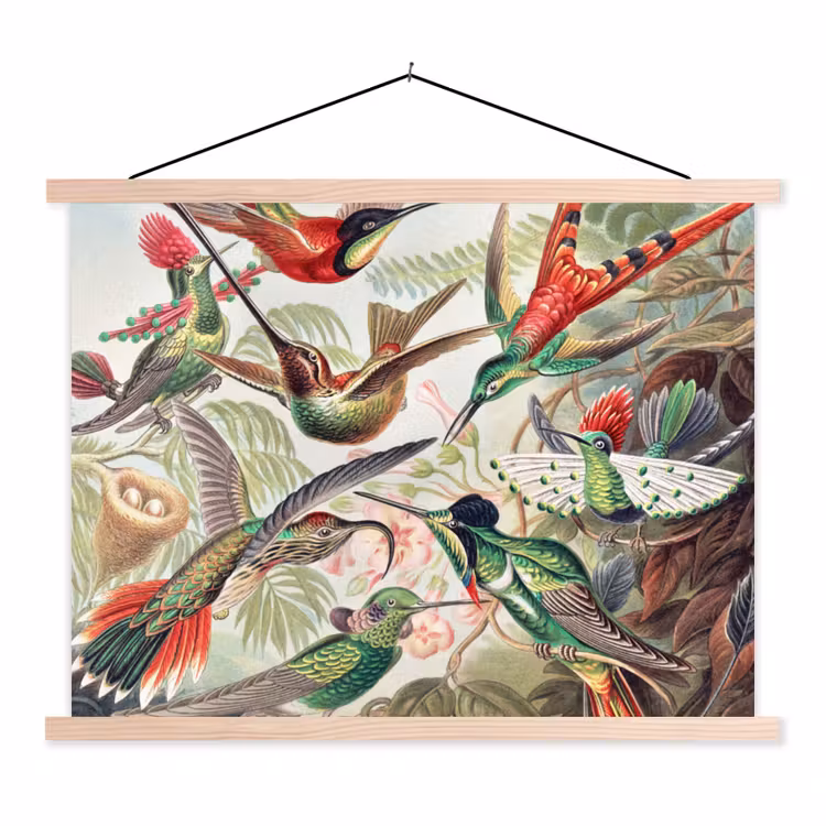 Kolibrie - Tuindecoratie - Vintage - Ernst Haeckel - Tuinposter textielposter latten blank klein -3d