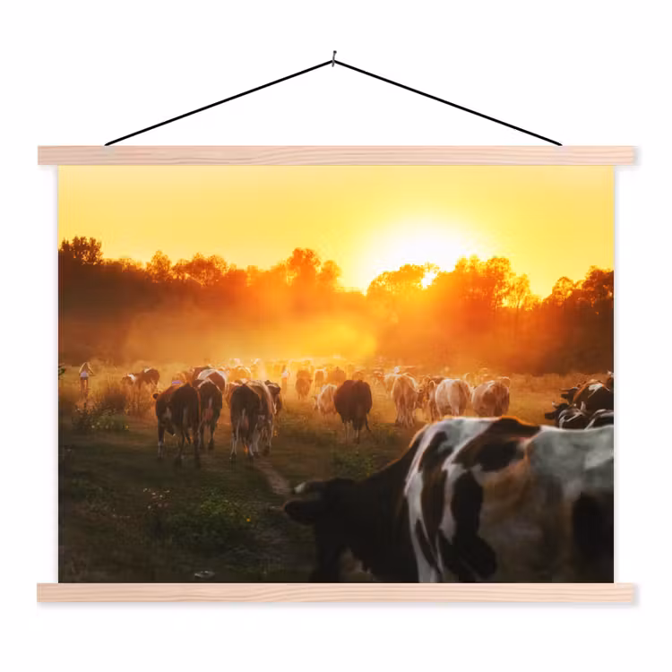 Koeien - Zonsondergang - Weiland - Dieren textielposter latten blank klein -3d