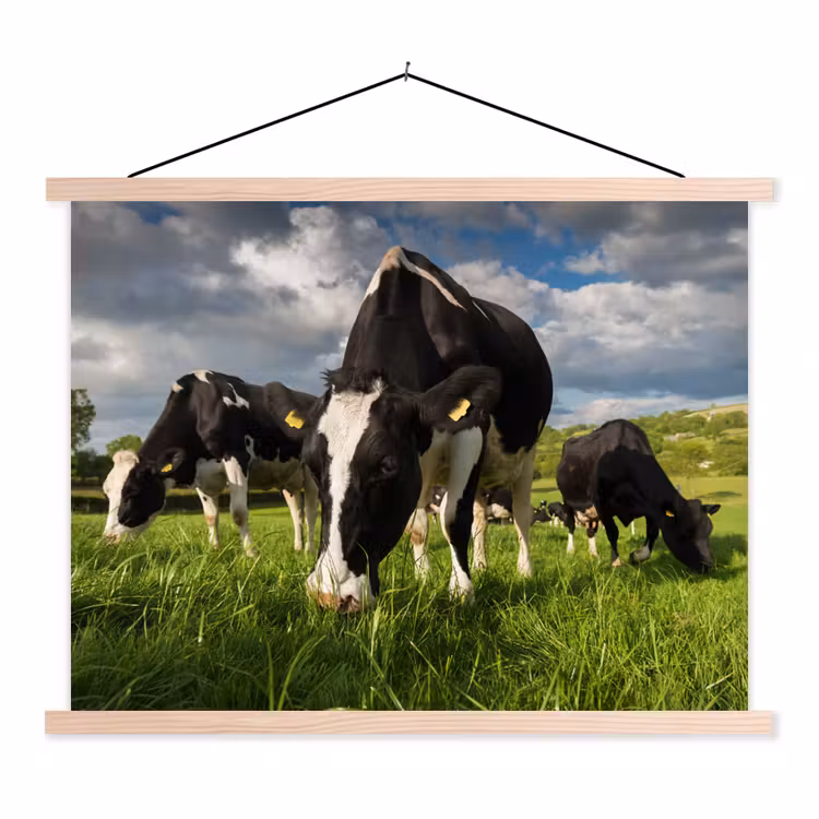 Koeien - Dieren - Gras - Weiland - Boerderij textielposter latten blank klein -3d