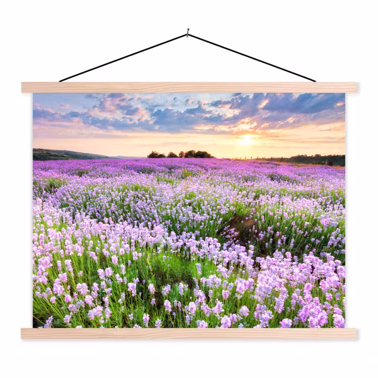 Lavendel - Bloemen - Zonsondergang - Paars - Weide textielposter latten blank klein -3d
